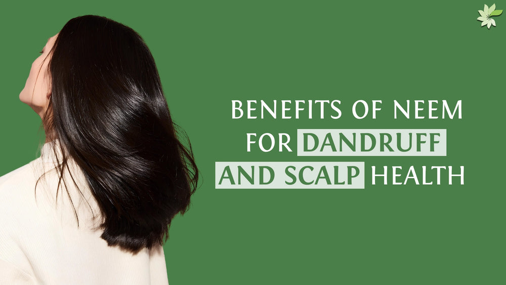 Benefits of Neem for Dandruff and Scalp Health | MINATURE ...