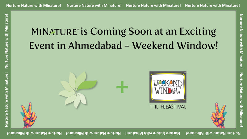 MINATURE guide – MINATURE is Coming Soon at an Exciting Event in Ahmedabad - Weekend Window!