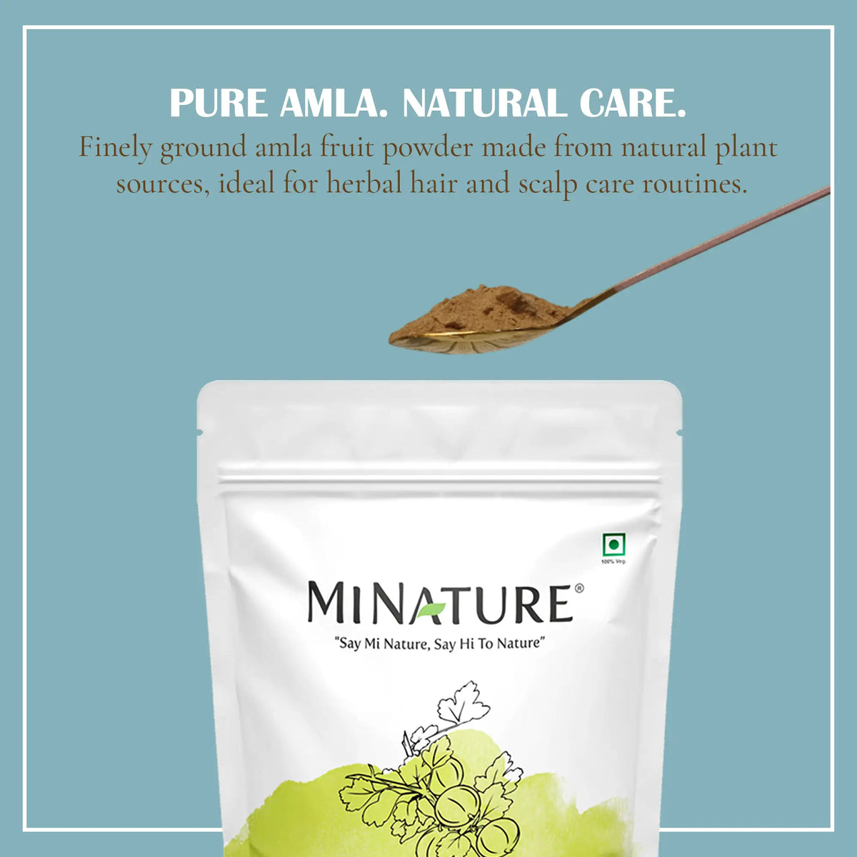 Amla Powder