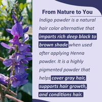 Indigo Powder