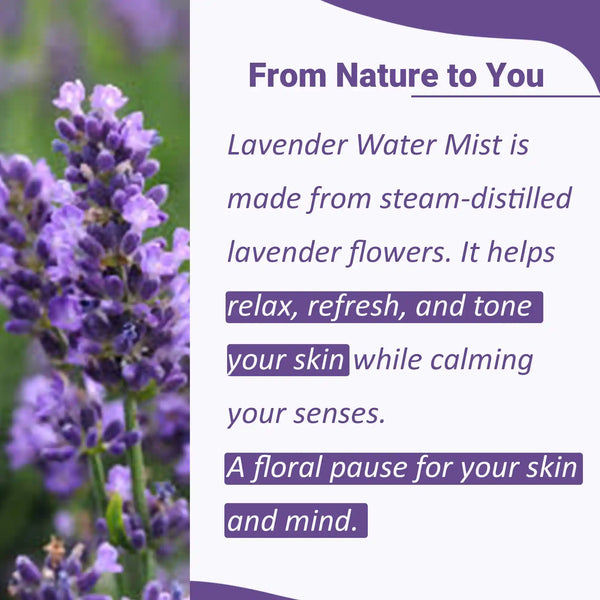 lavender plant health benefits Lavender Mist Spray for Soothing, Clear Skin