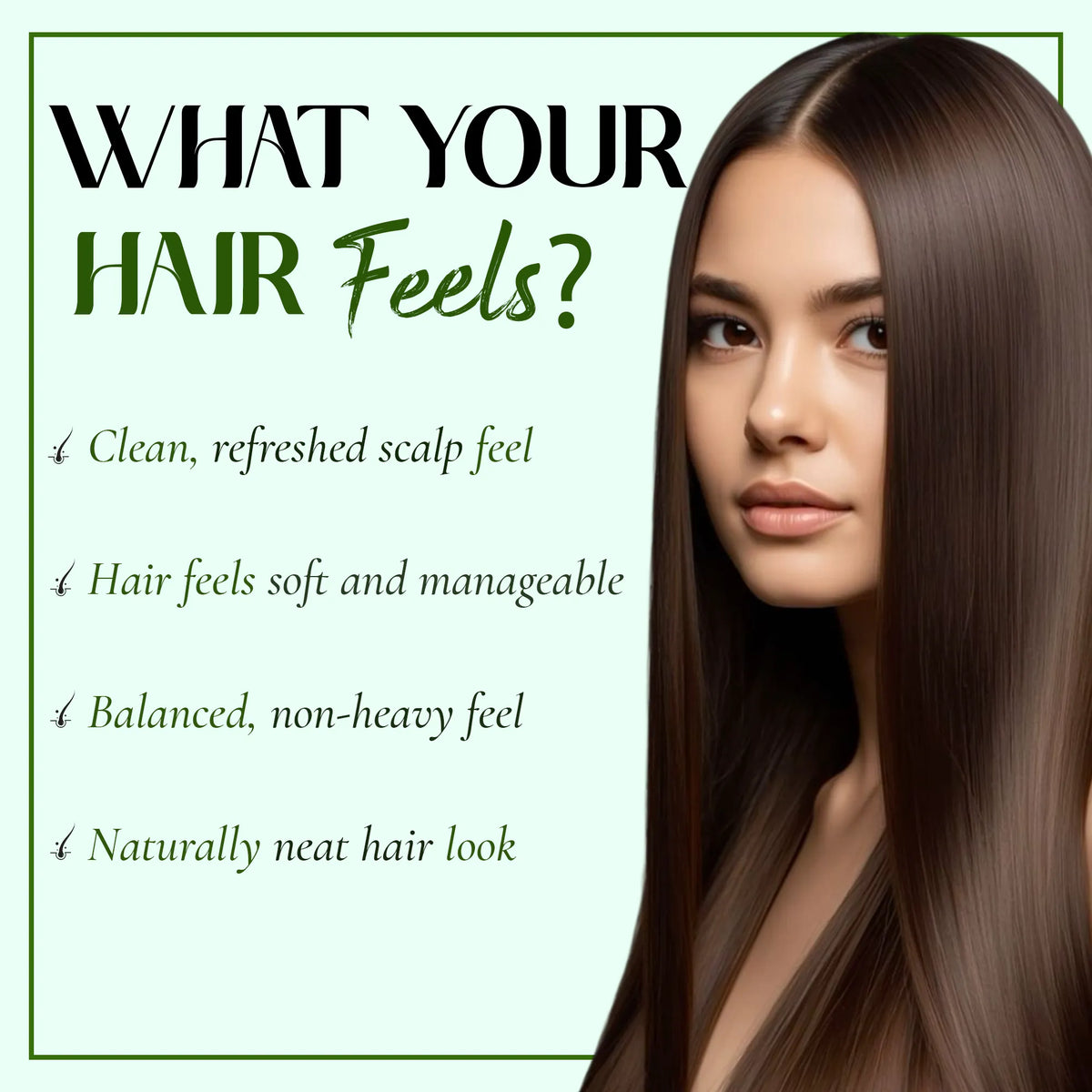 Sidr (Jujube) Powder