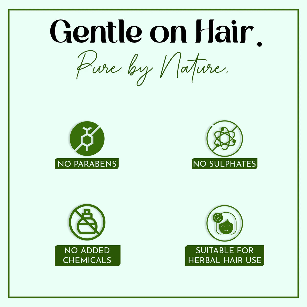 Sidr (Jujube) Powder