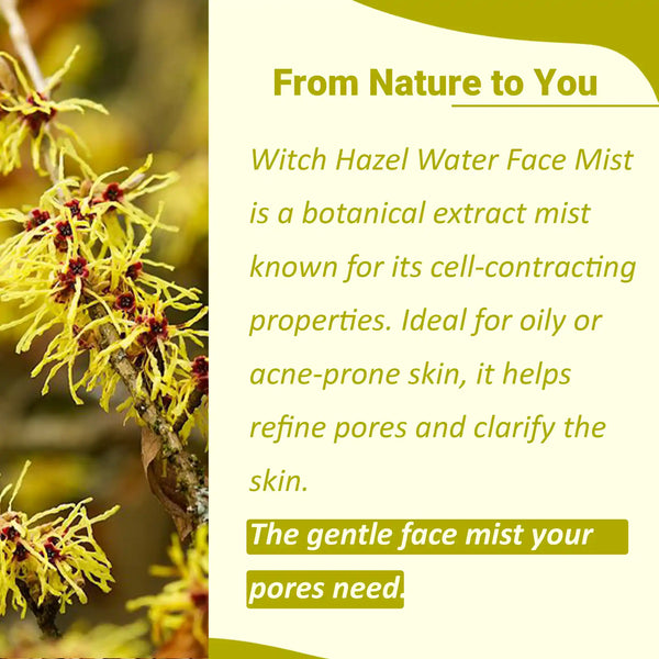 Witch Hazel Water